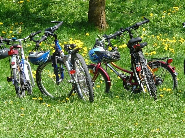 A group of bikes on a family cycling trip.