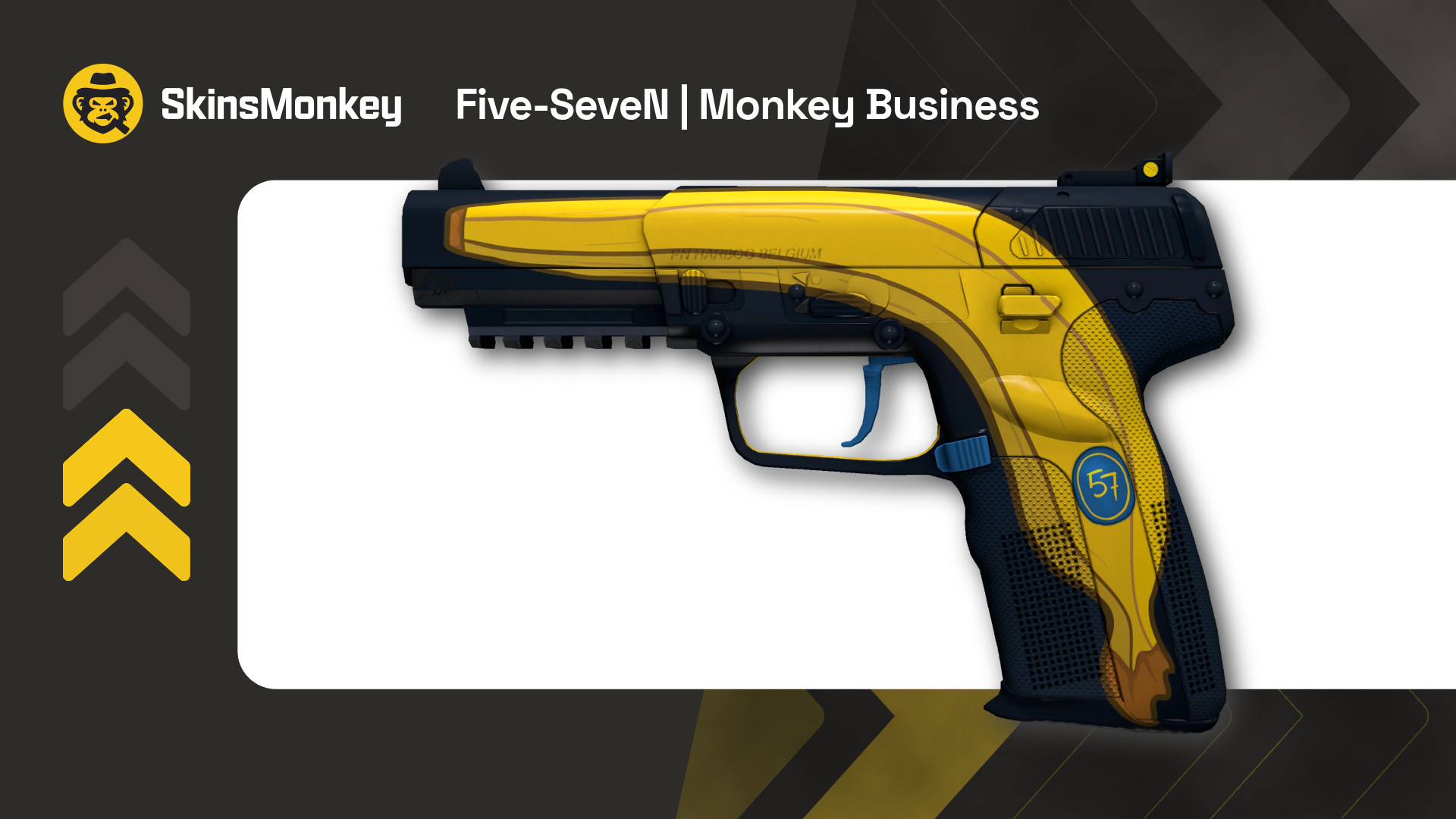 Skin Rarity Valuation: What Makes Your Virtual Gear Priceless?