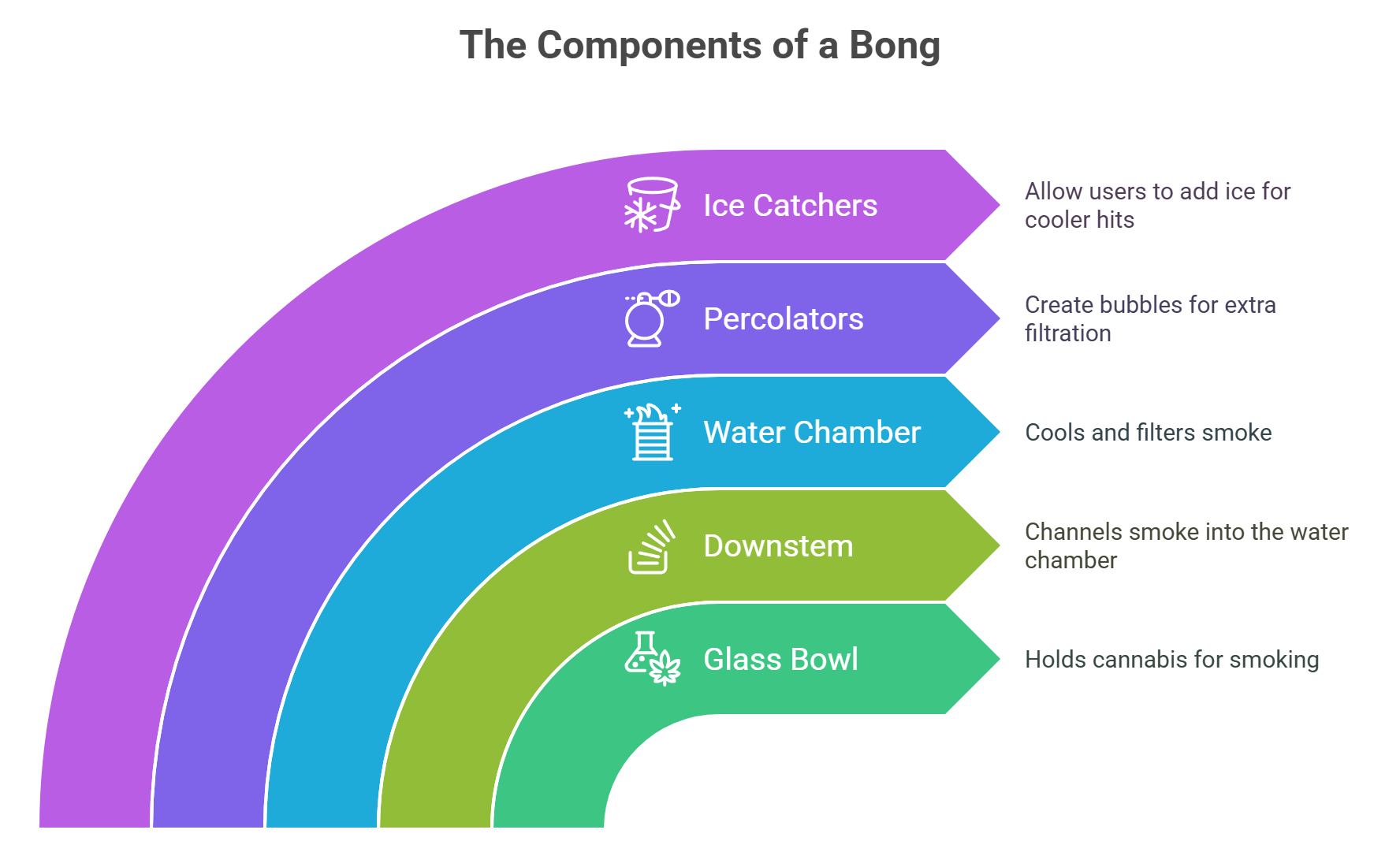 Anatomy of a Bong