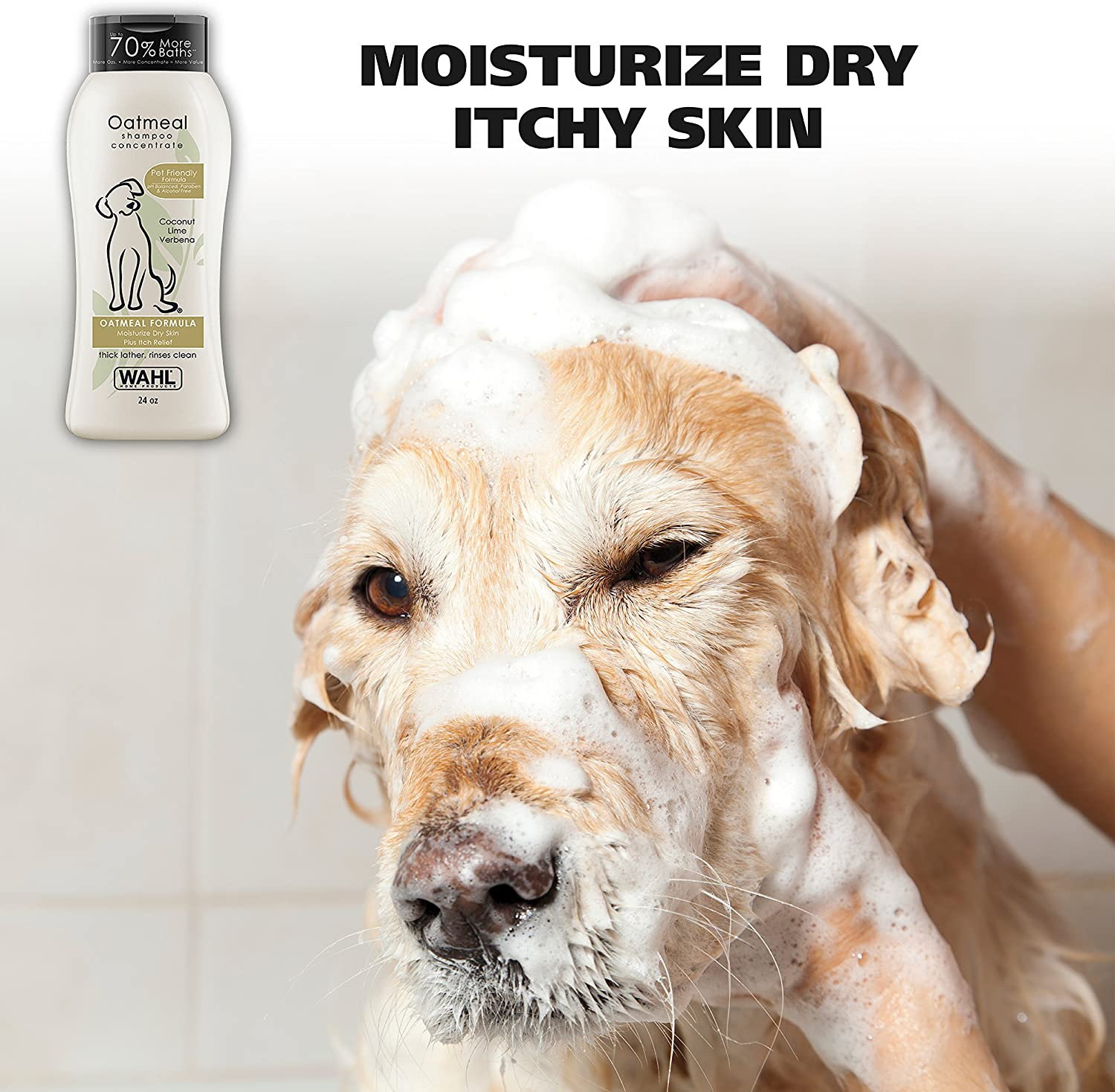 Best Dog Shampoo for Itchy Skin