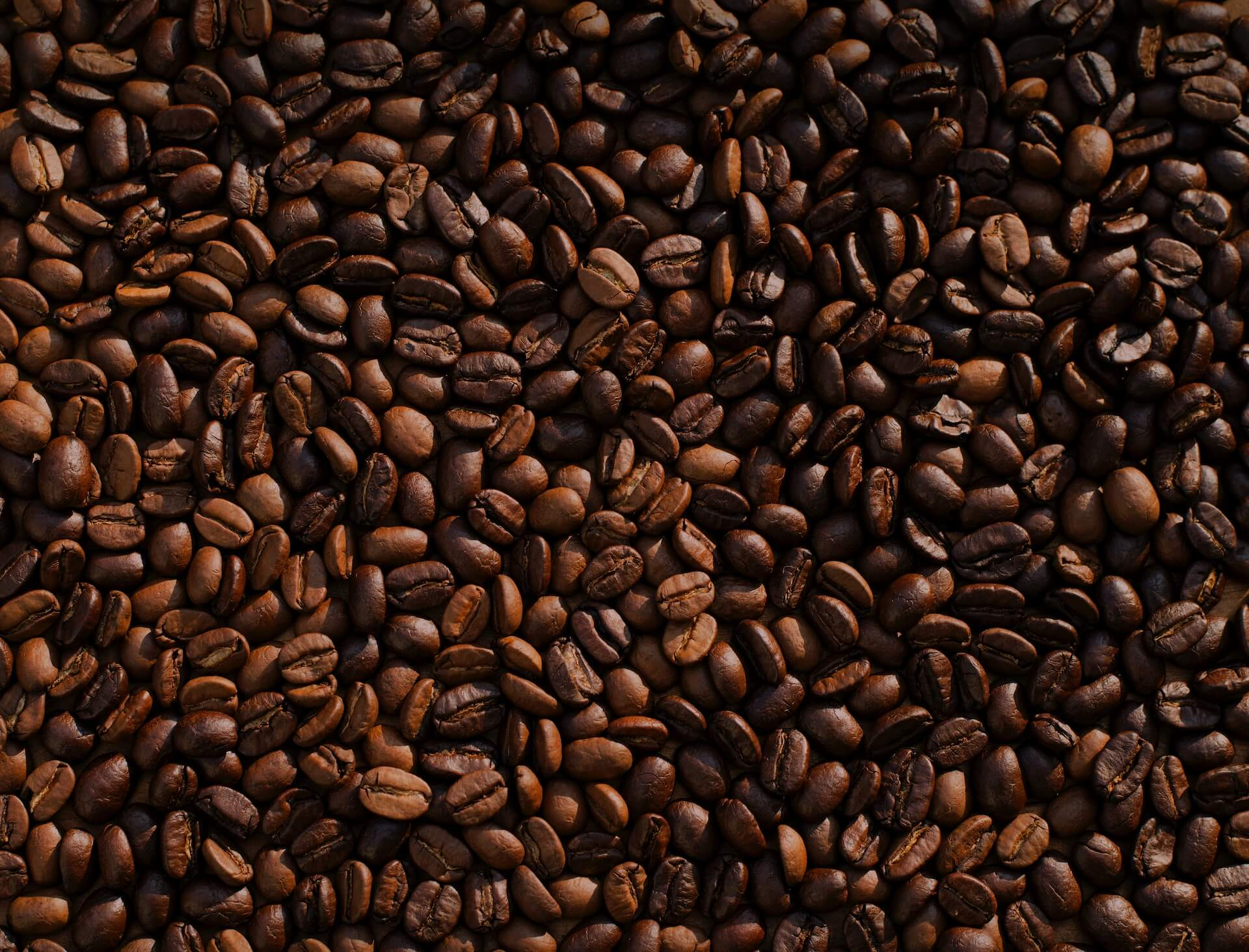 Bag of Beans: A warm cup of coffee for you to savor