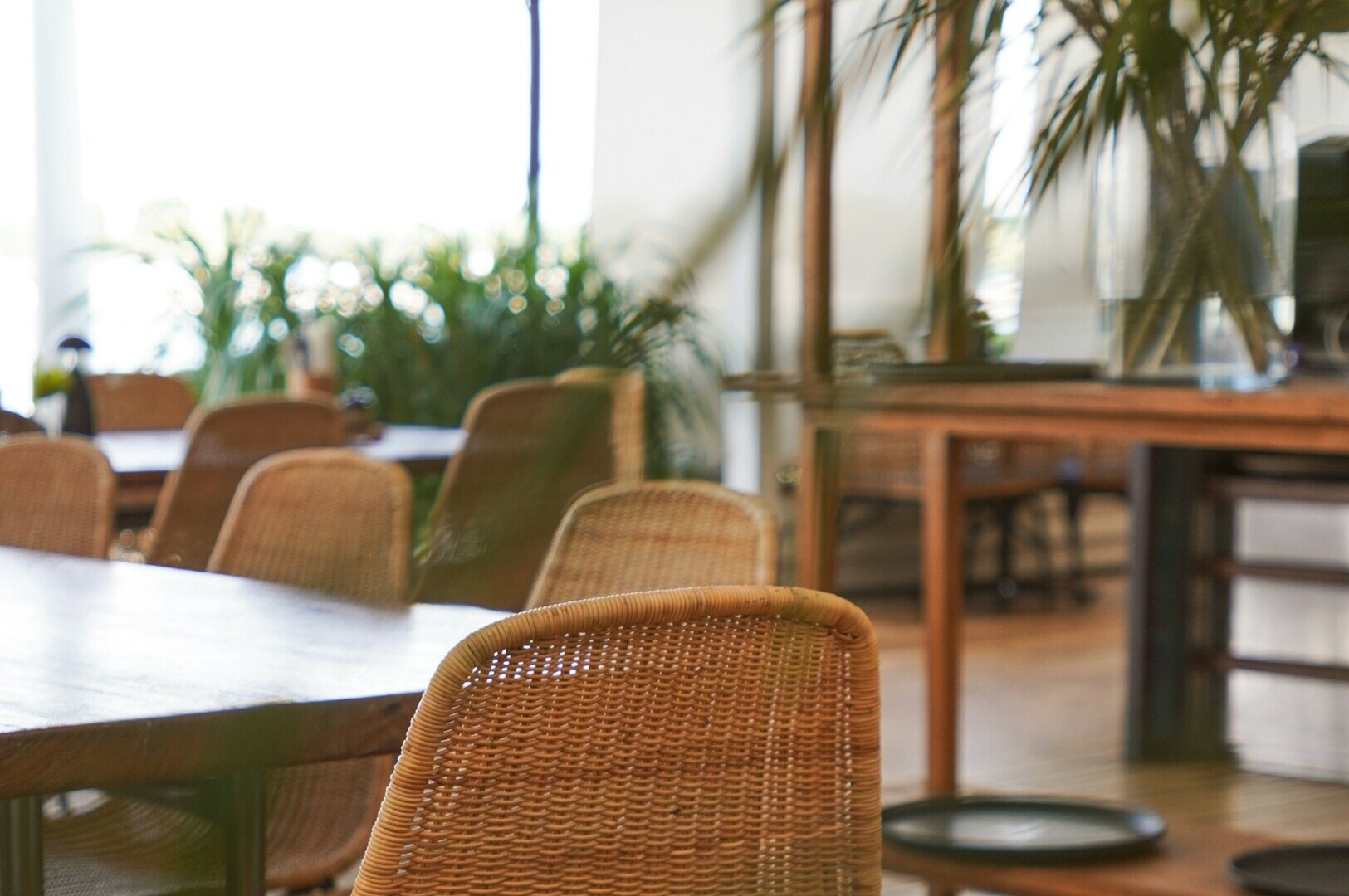 A table surrounded by chairs and a decorative plant in a Singapore restaurant interior.