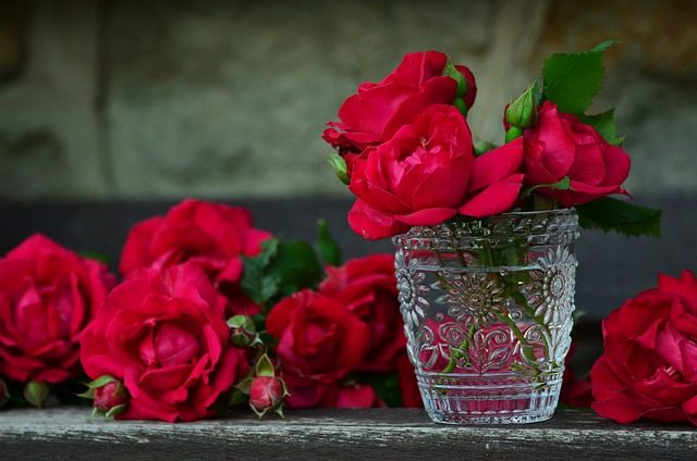 roses, red roses, vase
