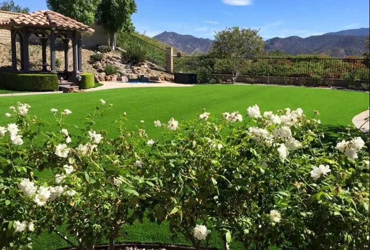 Backyard with gazebo