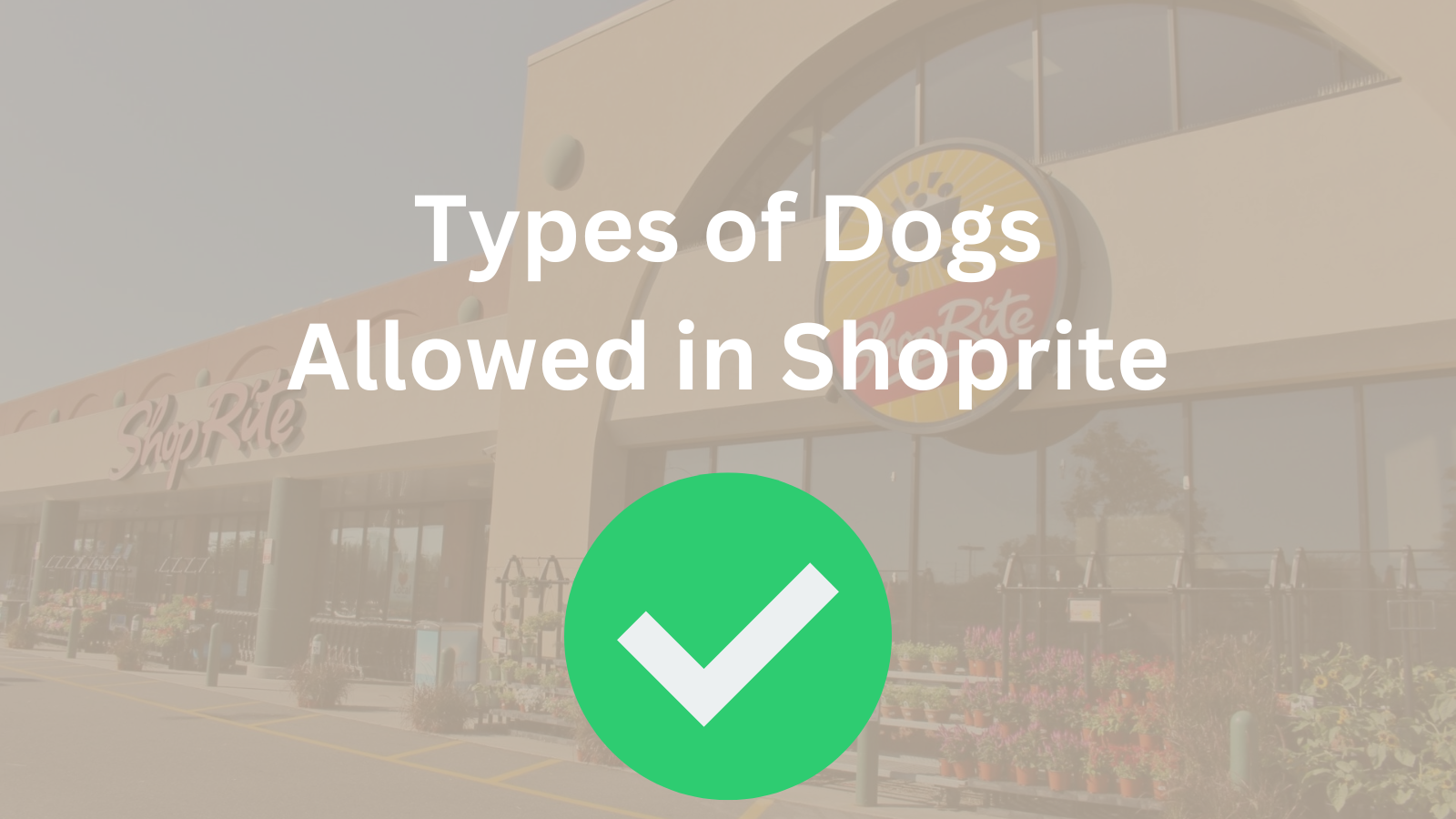 Image Text: "Types of Dogs Allowed in Shoprite"