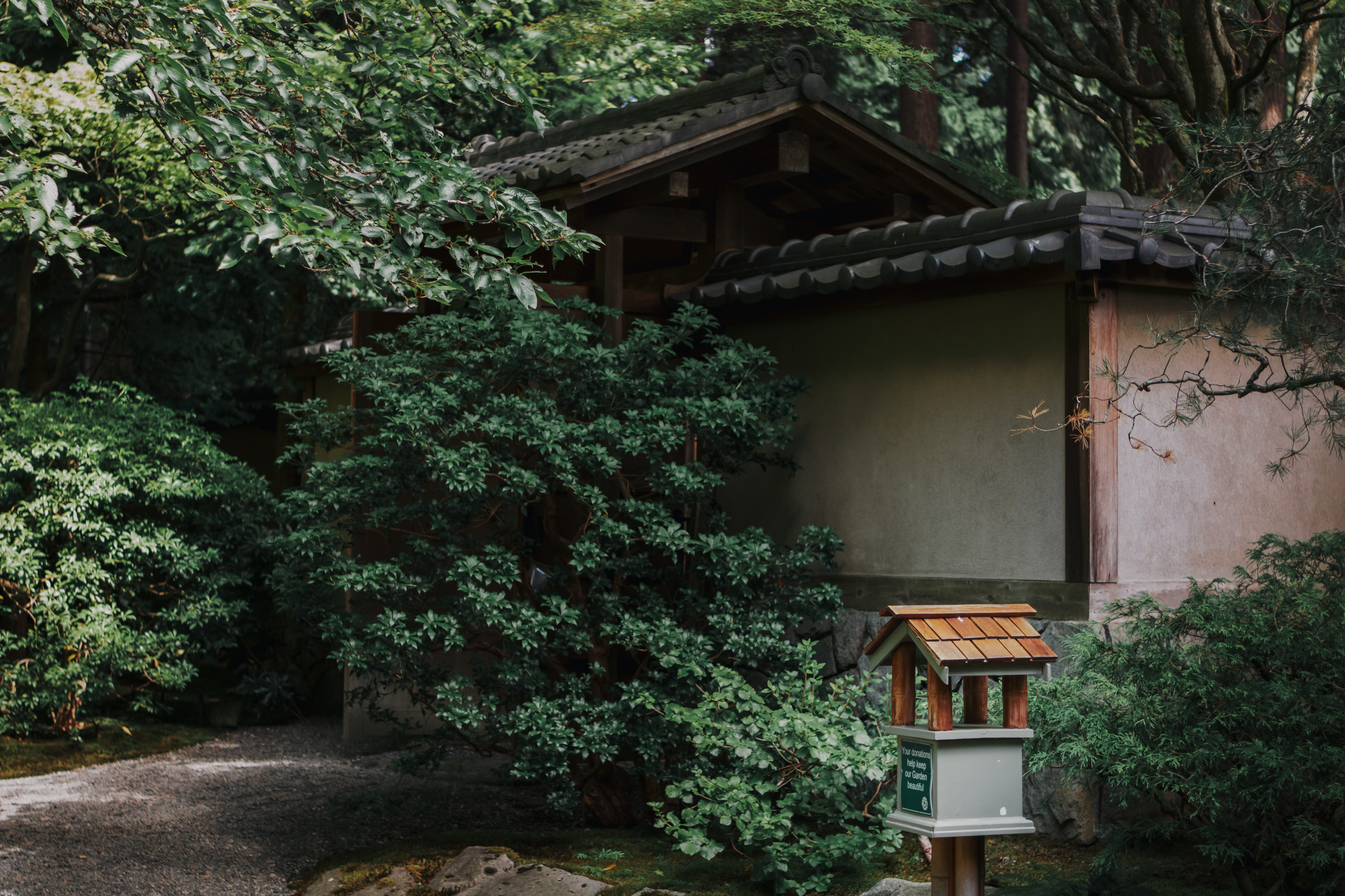 https://unsplash.com/photos/YYUZIj13w7I