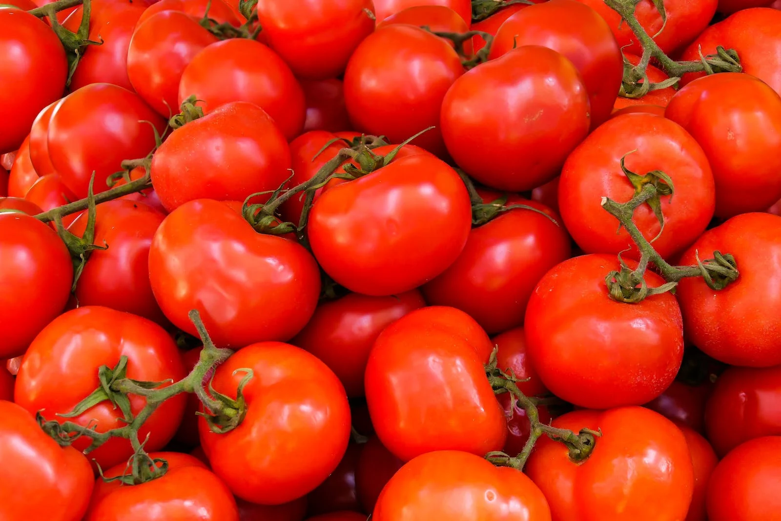 10 Best Foods For a Healthy Lifestyle
