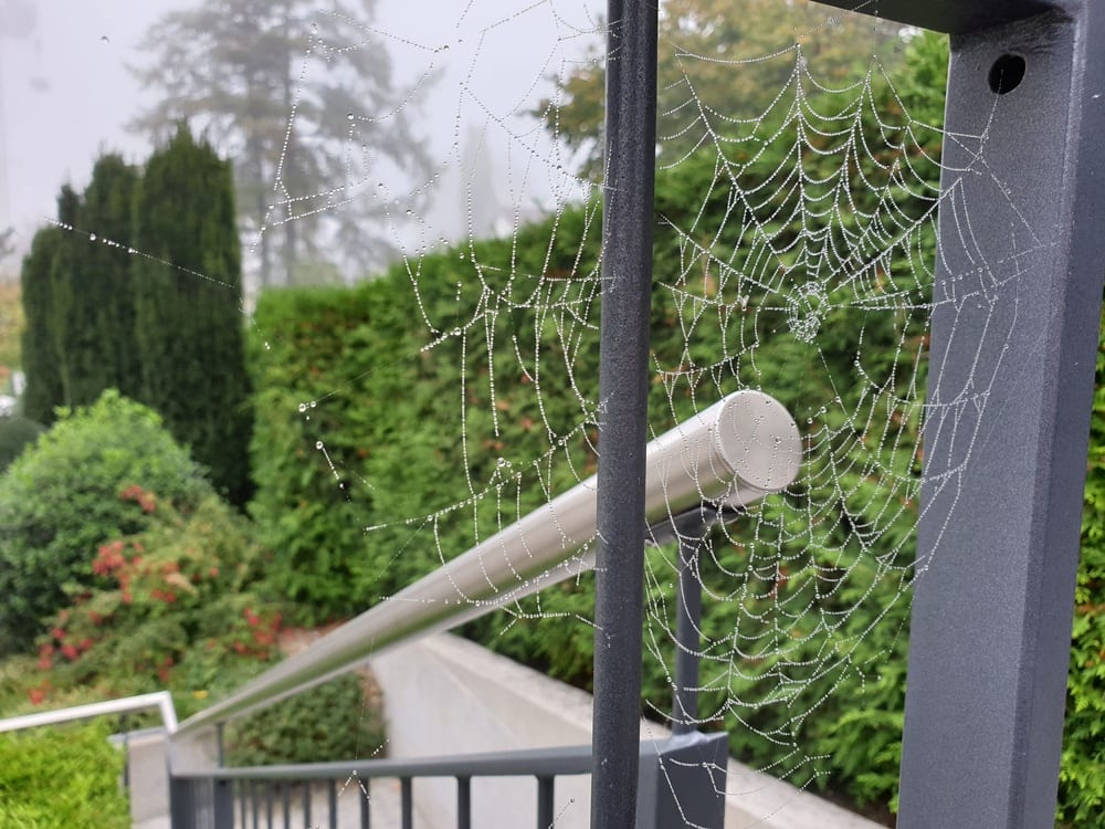 An image of a cobweb near a stair railing outdoors.