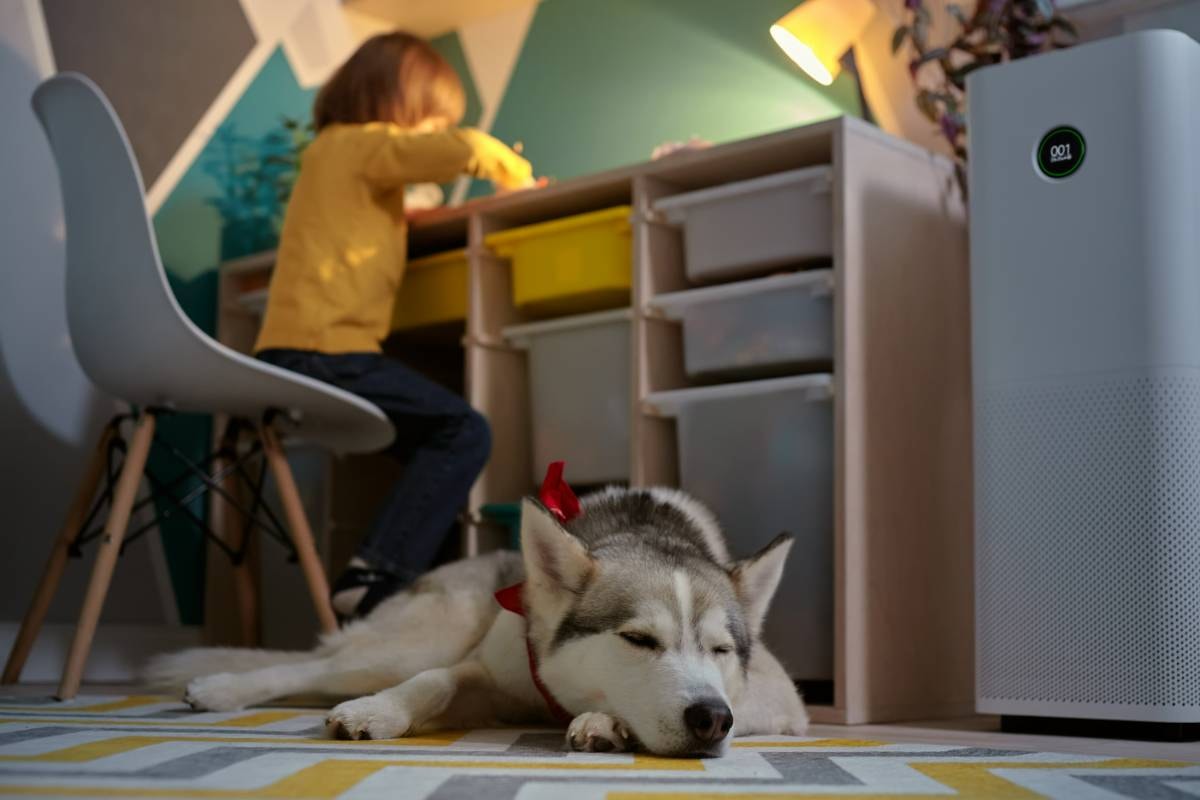 A sleeping dog in a child's room, with an air purifier in the background, emphasizing how Air Purifiers for Dogs contribute to a healthy living space for pets and families