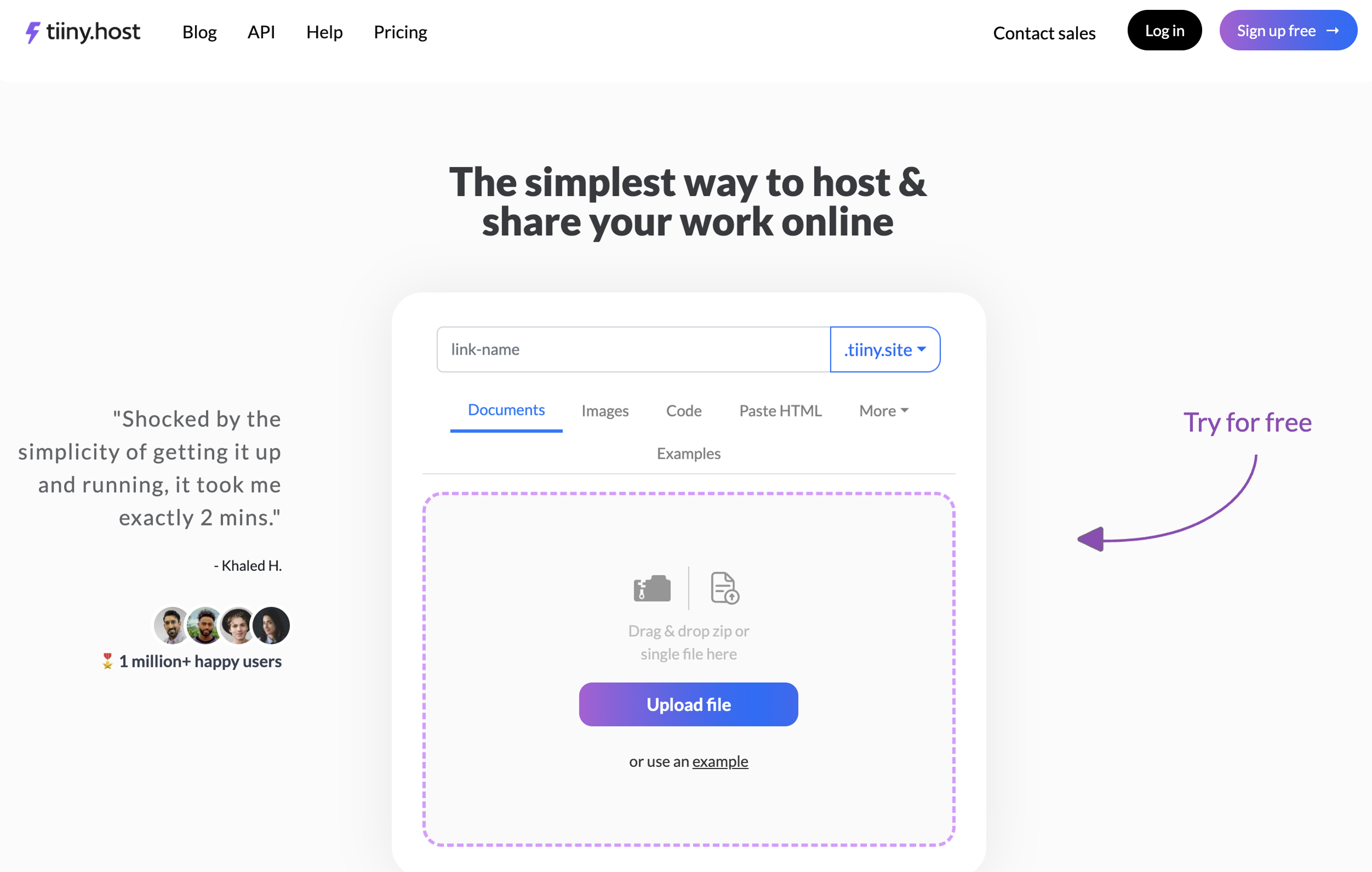 TiinyHost website