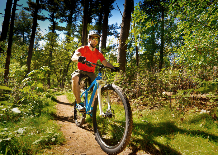 A mountain biker discovering beginner-friendly trails