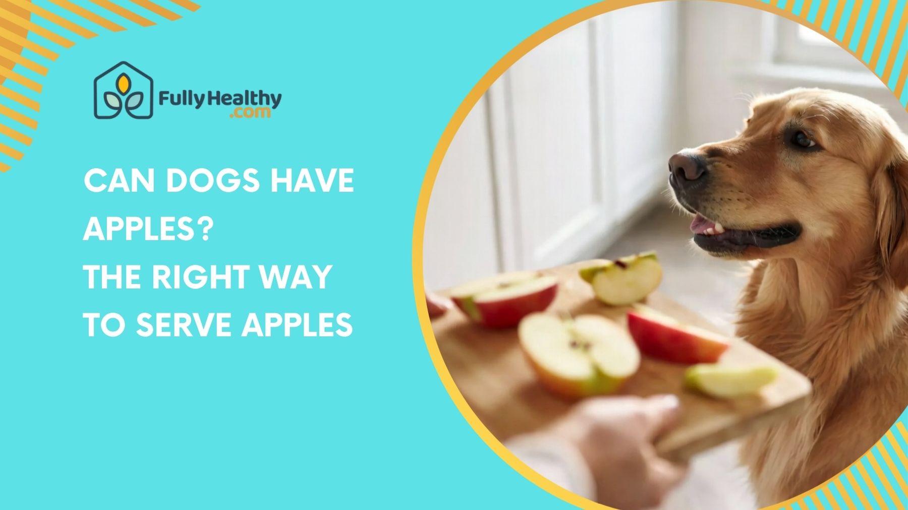 Can Dogs Have Apples? The Right Way To Serve Apples