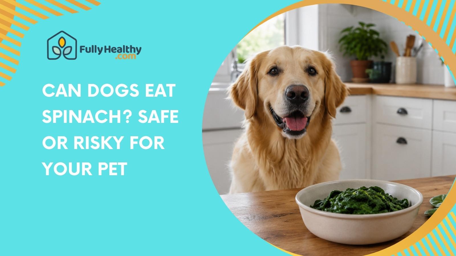Can Dogs Eat Spinach? Safe Or Risky For Your Pet
