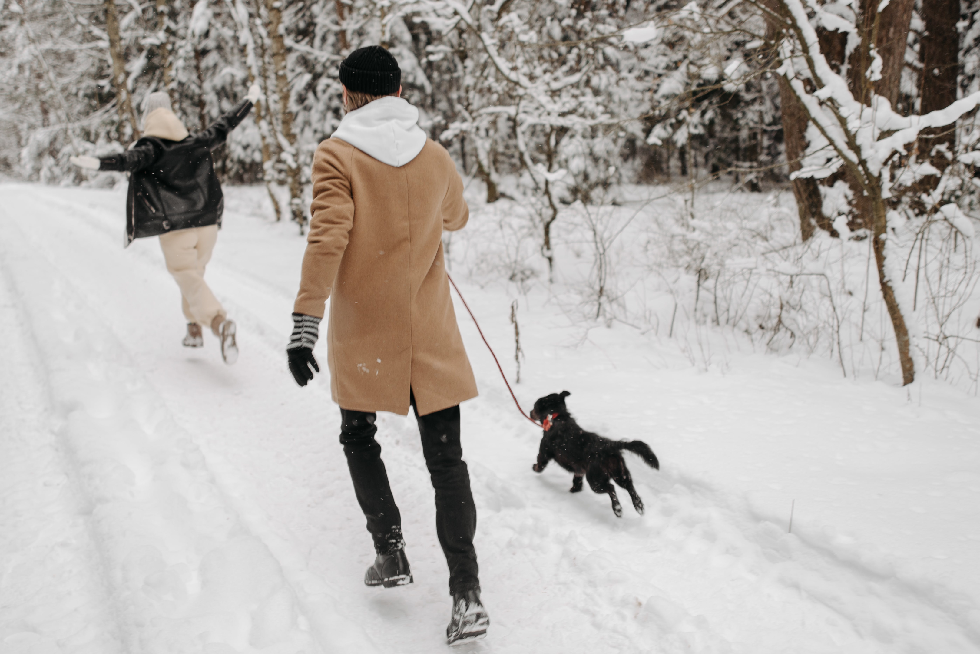 man, woman and their dog run on a snowy path 