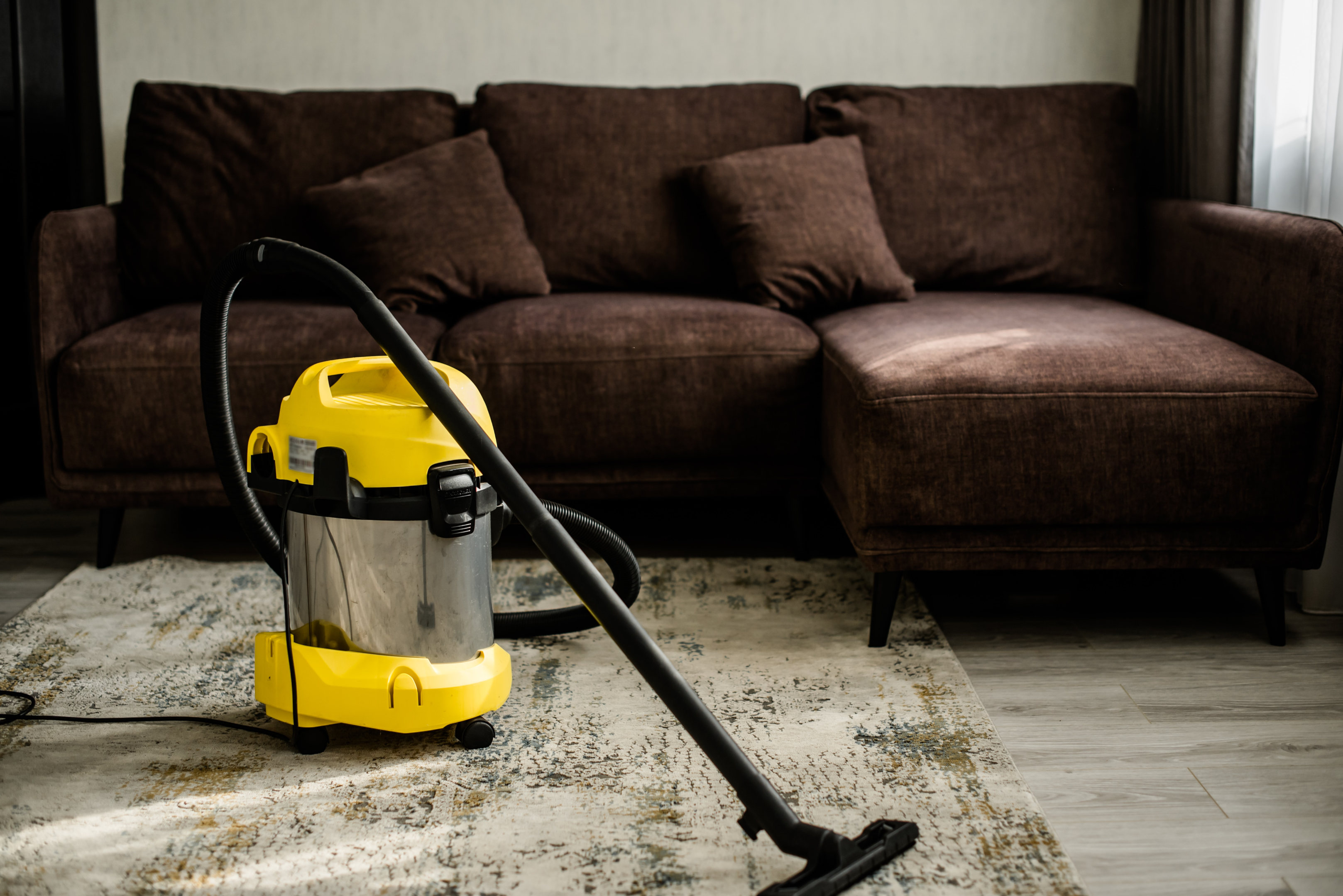 Clean sewer backup on carpet in contaminated area
