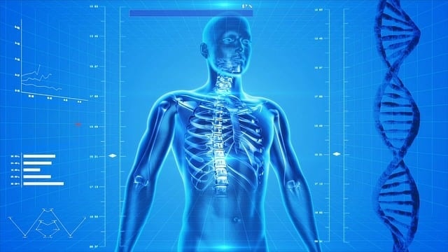 Echelon Health's full body MOT is carried out by expert medical professionals combining advanced imaging, CT technology and extensive blood tests to deliver the most comprehensive view of your overall health.