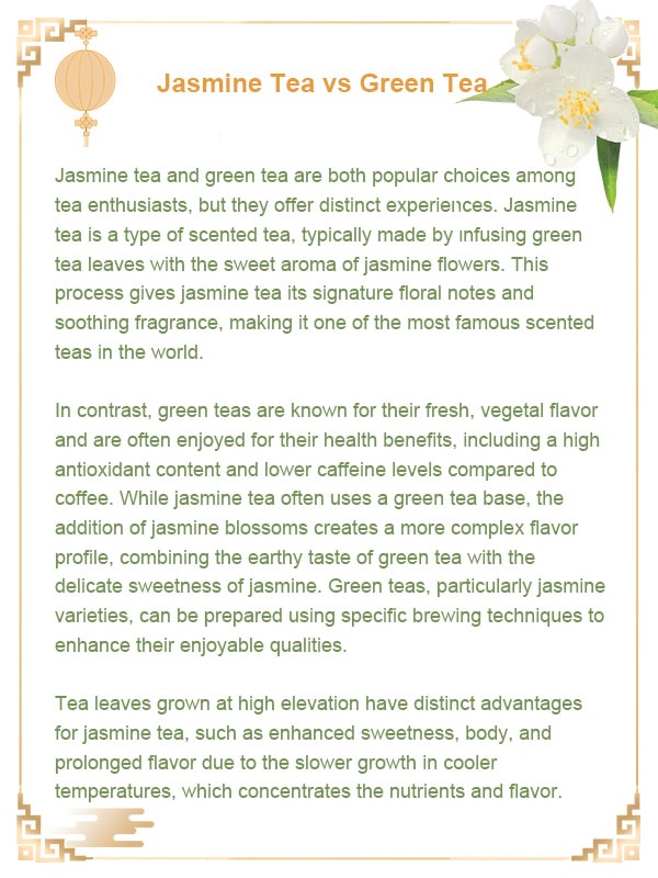 Jasmine Tea vs Green Tea