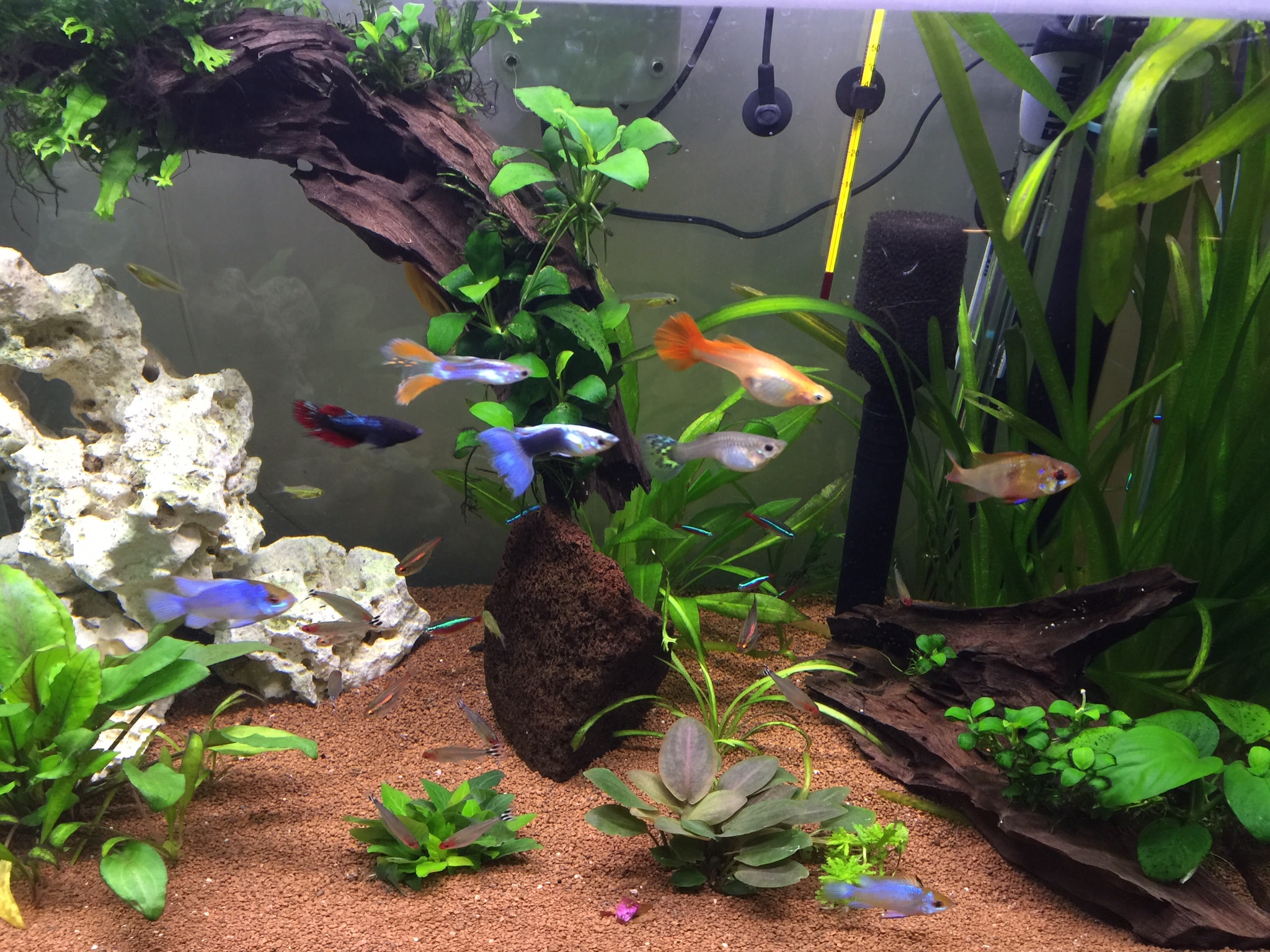 Substrate is a strong foundation