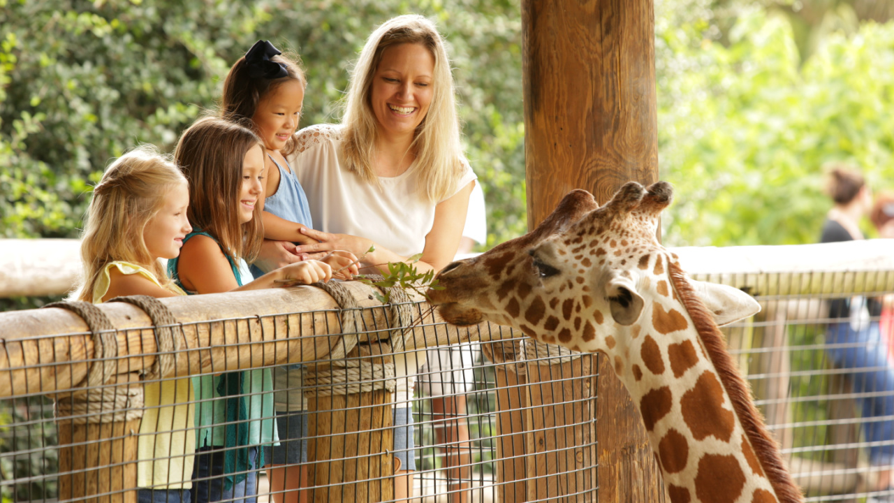 Best Zoos in Florida: The Best Zoos in Florida for Wildlife Fans