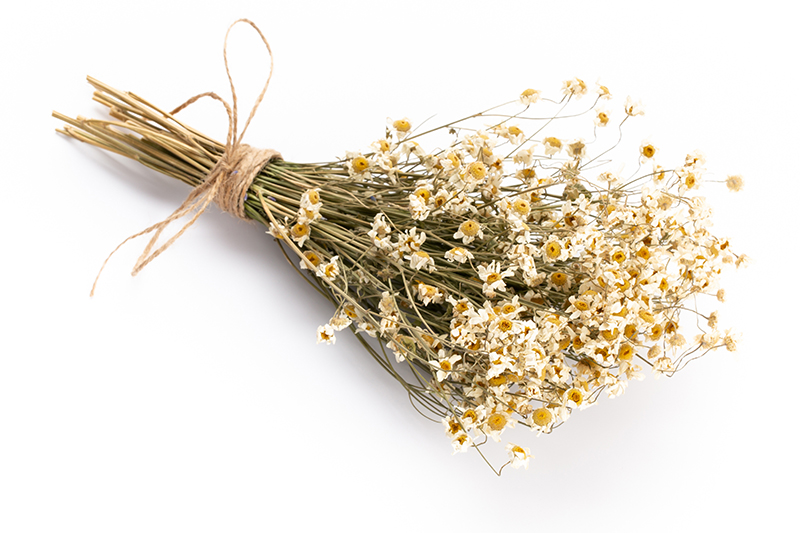 Dried chamomile flowers