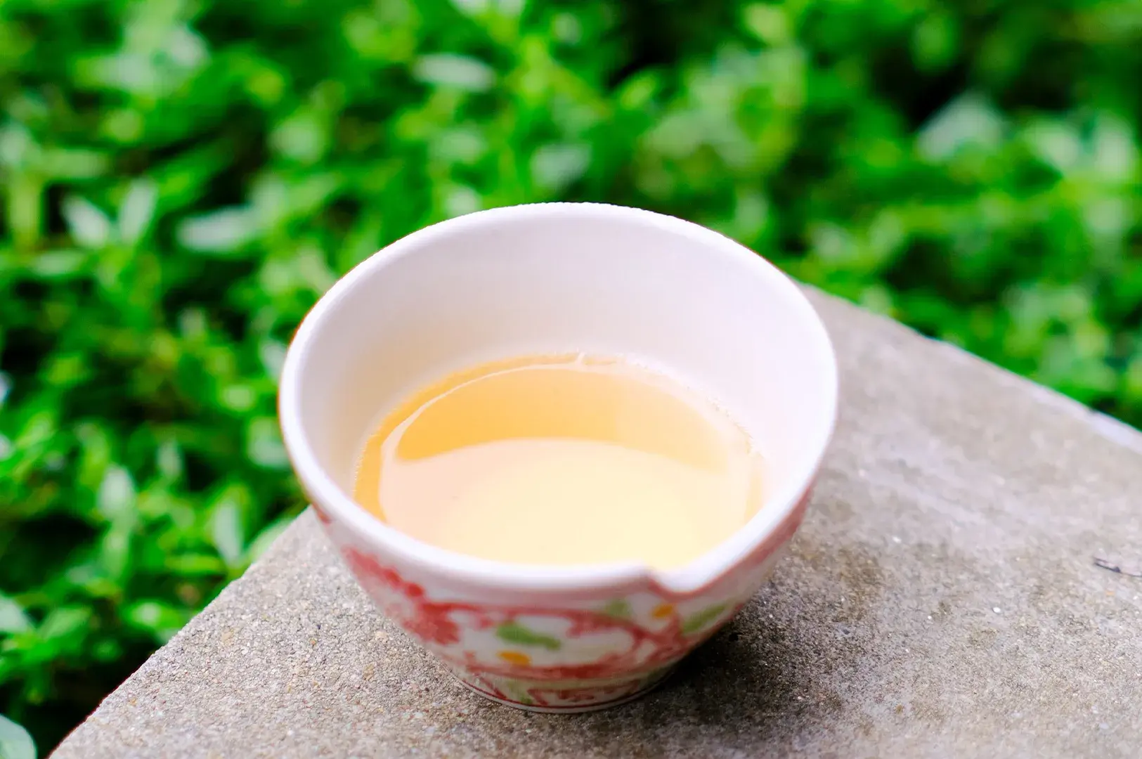 A single white porcelain teacup filled with a warm, golden-amber liquid of brewed Tie Guan Yin tea sits atop a rough, natural stone surface. The background features a soft, out-of-focus backdrop of vibrant green foliage, highlighting the tea’s natural origins and elegant presentation.