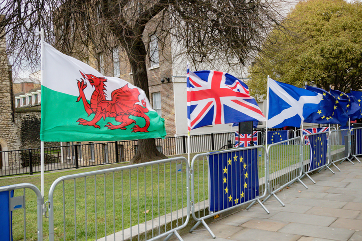 Welsh and Scottish flags