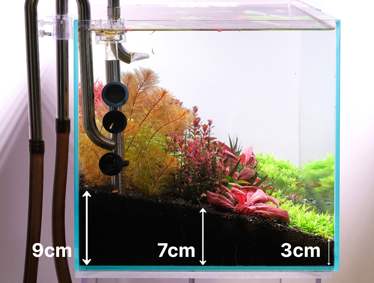 Side view of aquarium showing aquasoil depth and slope.