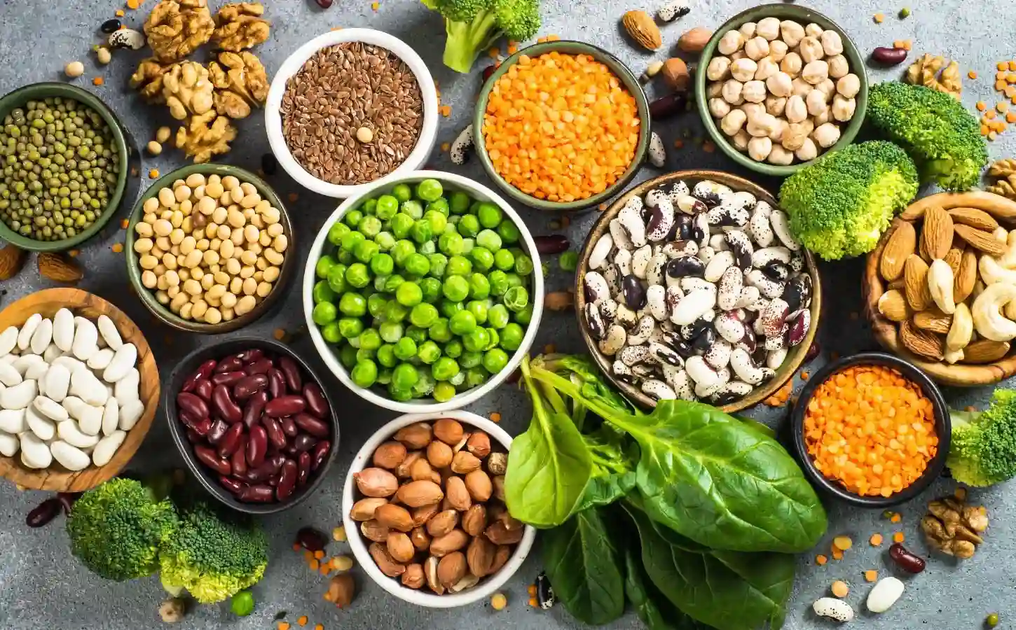 Abundant in Plant-Based Proteins