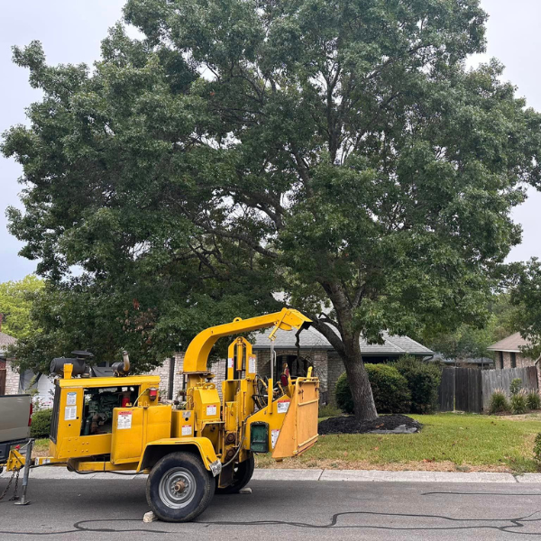 Picture of an emergency tree care situation.