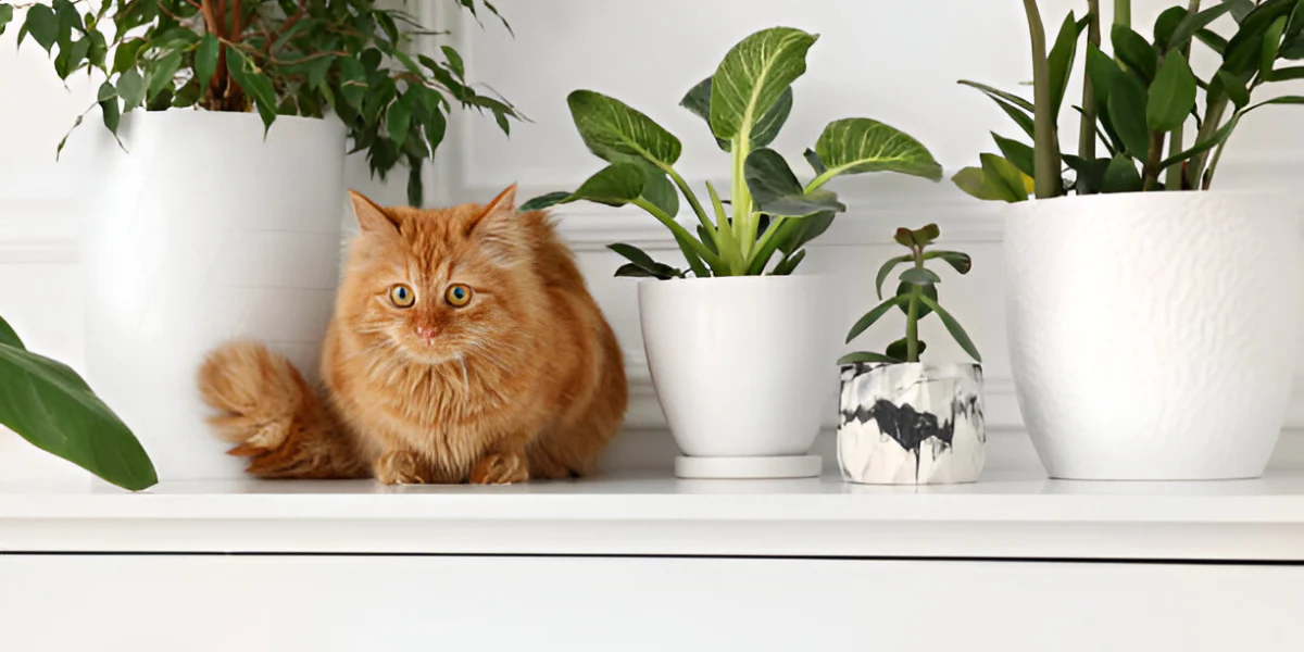 Involving Your Pet in Plant Care