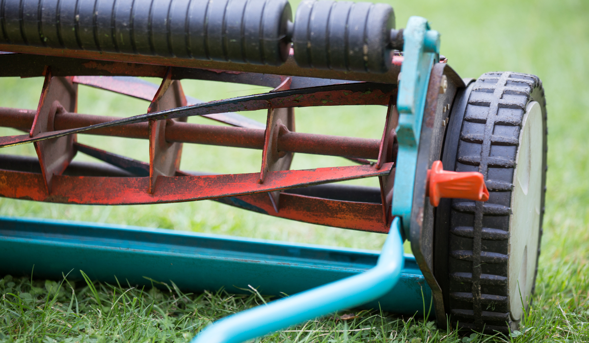 Close up of a cylinder mower blade