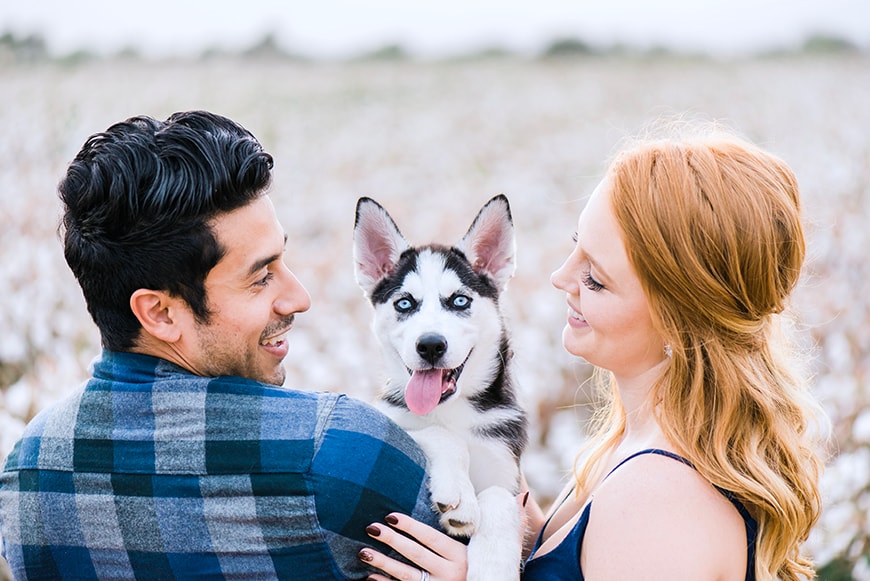 Practical tips for including your dog in wedding photos, featuring a couple with their pet.