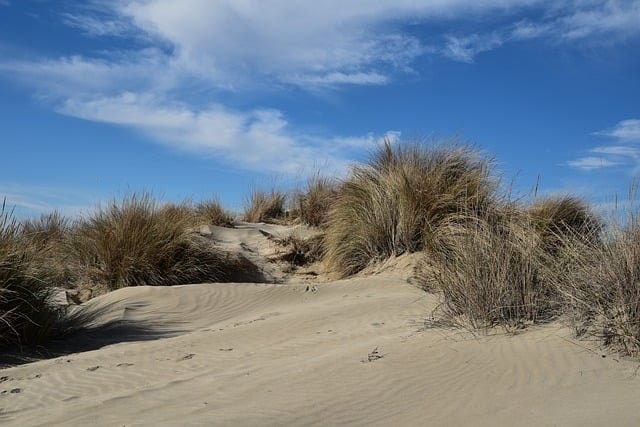 environmental impact of sandbags