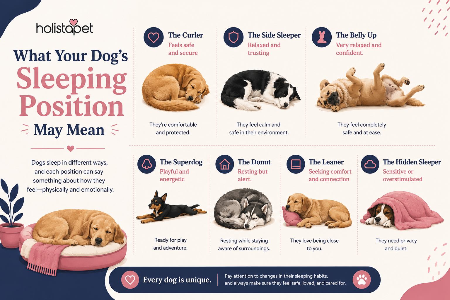 what your dog's sleeping position means