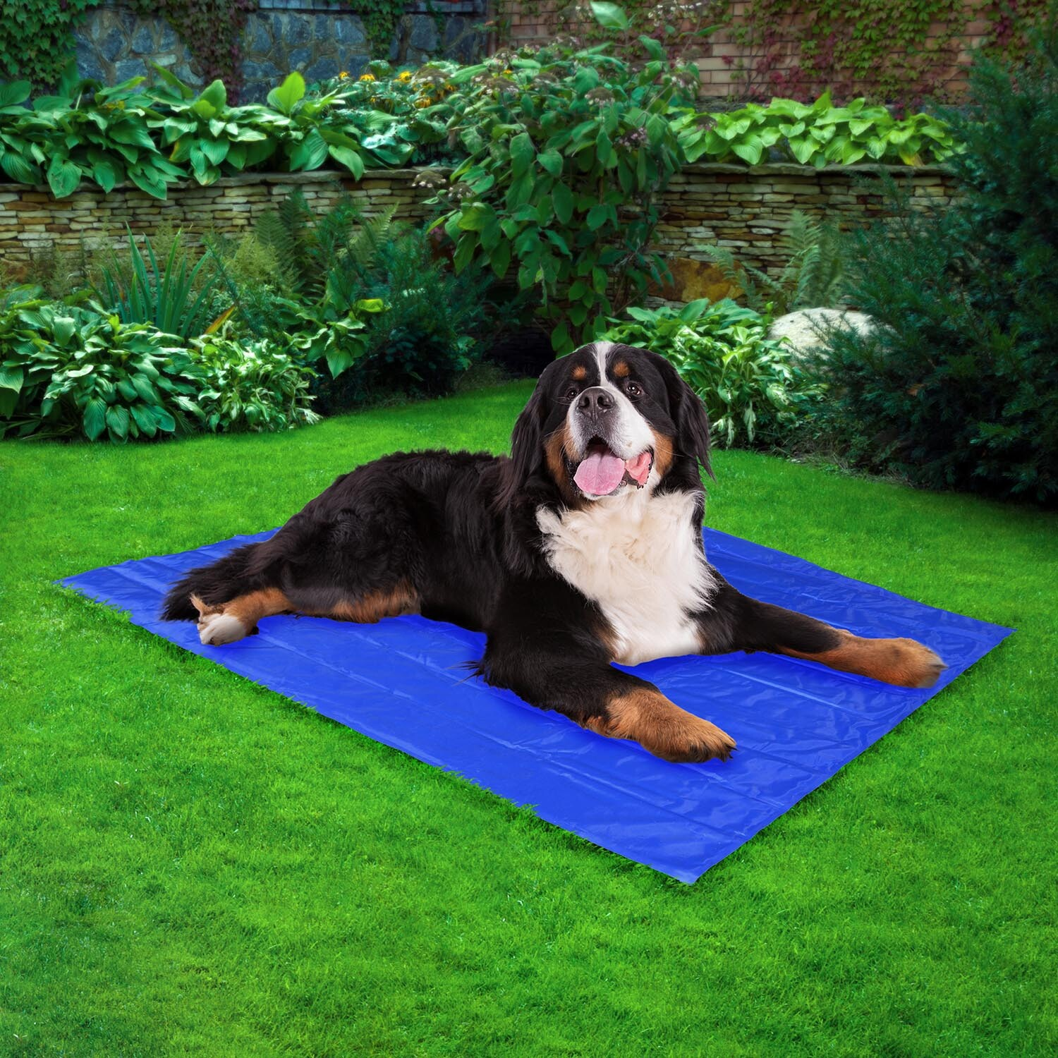 Bunnings dog hotsell cooling mat