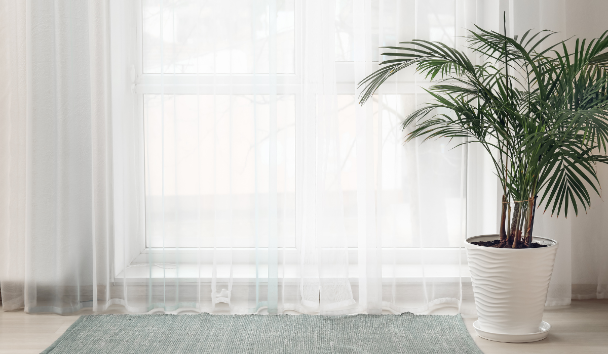 Floor length net curtains over larger windows