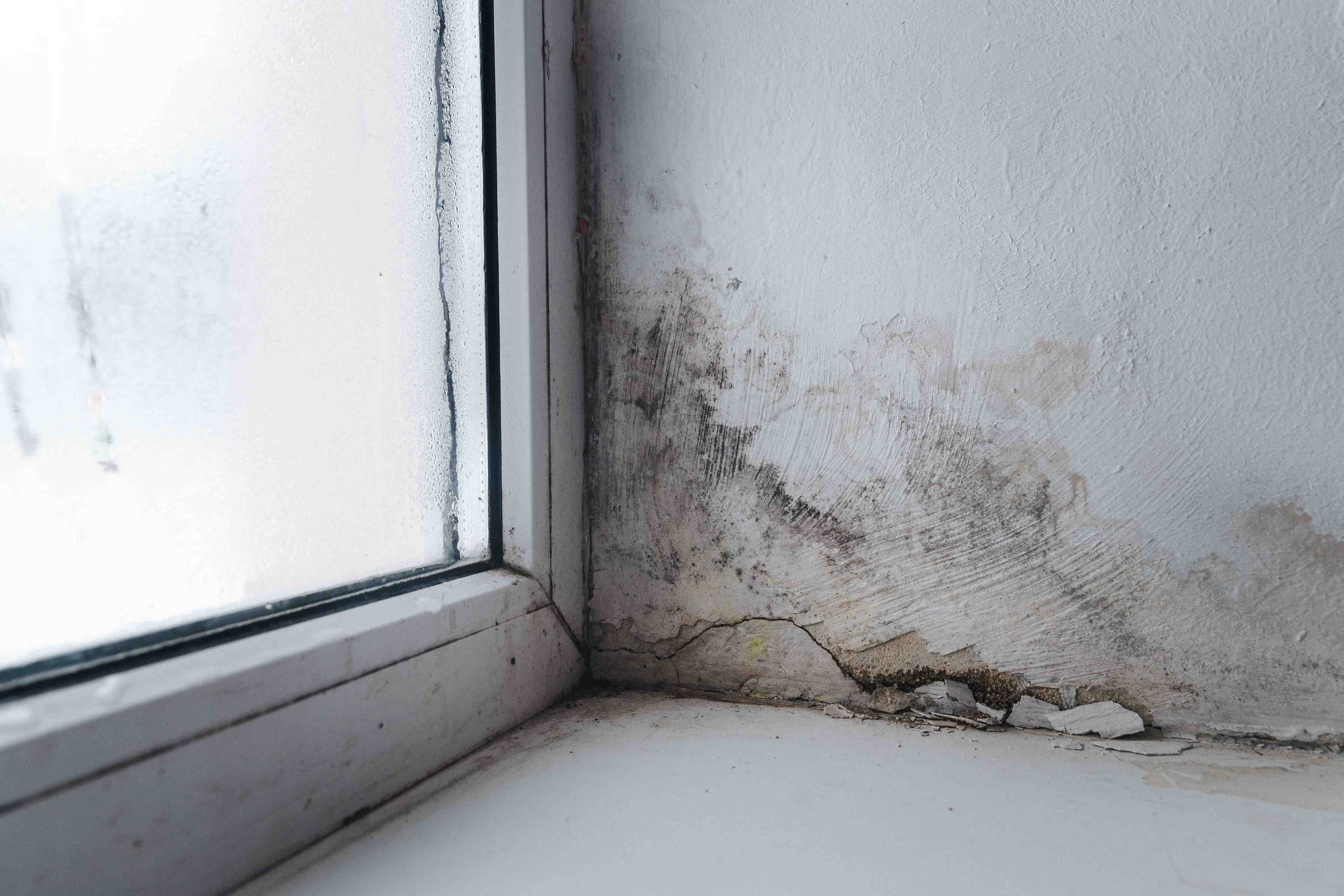 A mouldy wall caused by a leak