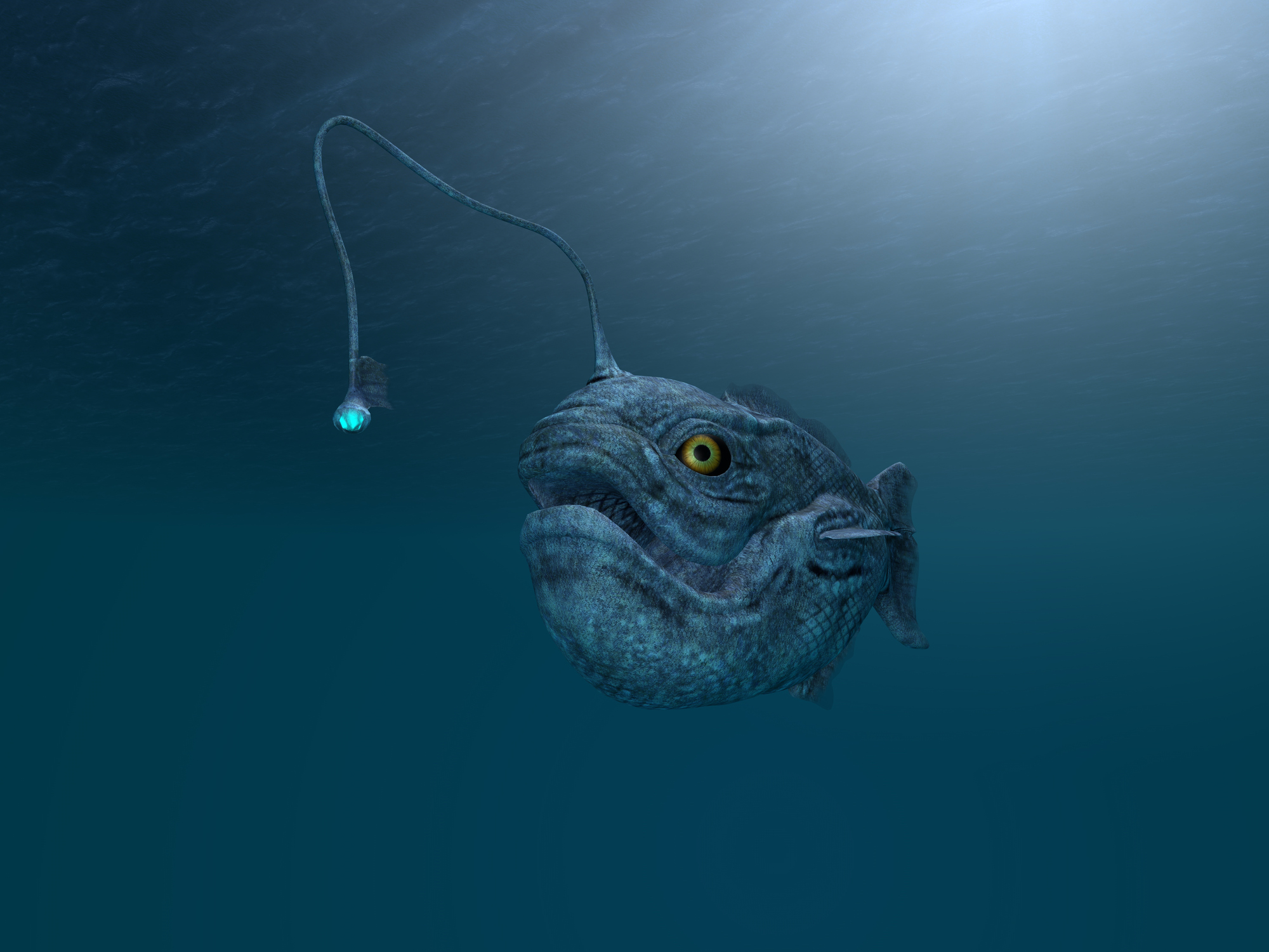 Seadevil Anglerfish