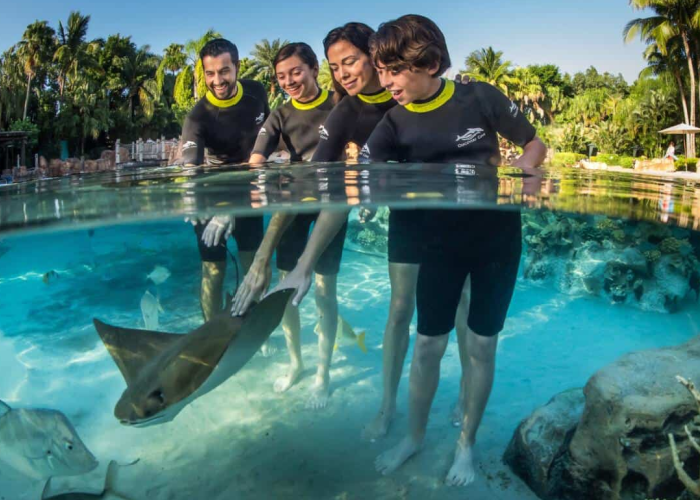 discovery cove tickets