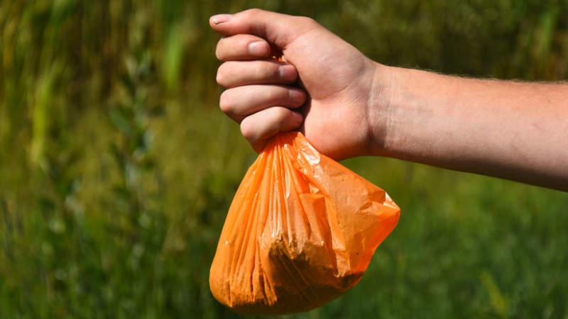 4ca34369 e800 4038 983c edffbb057694 Is Dog Poop Biodegradable? Get the Eco-Friendly Scoop!