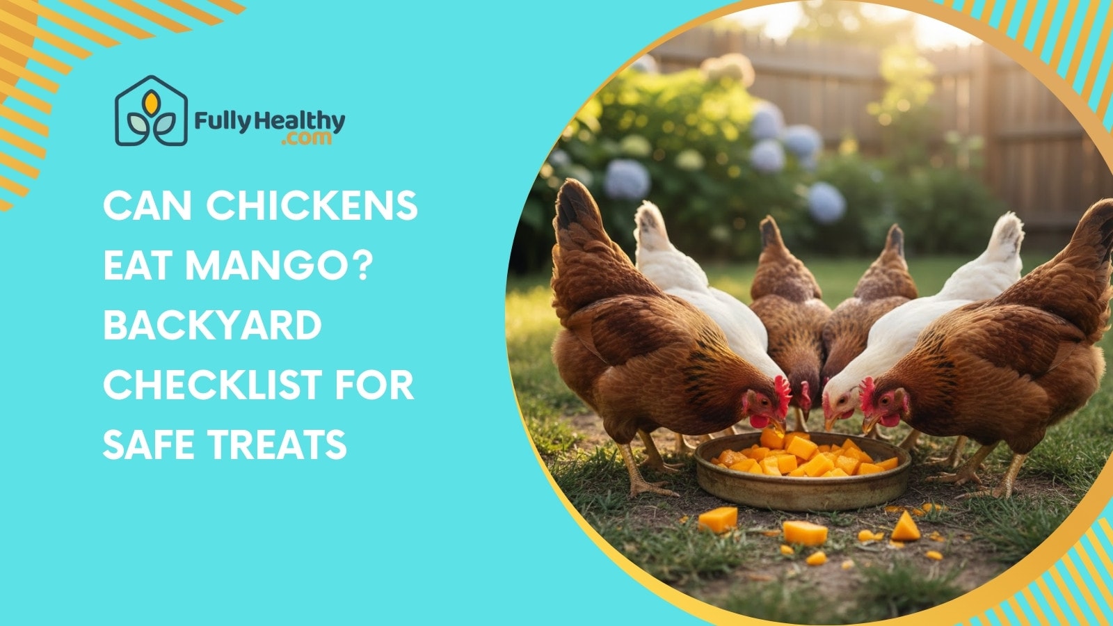 Can Chickens Eat Mango? Backyard Checklist for Safe Treats