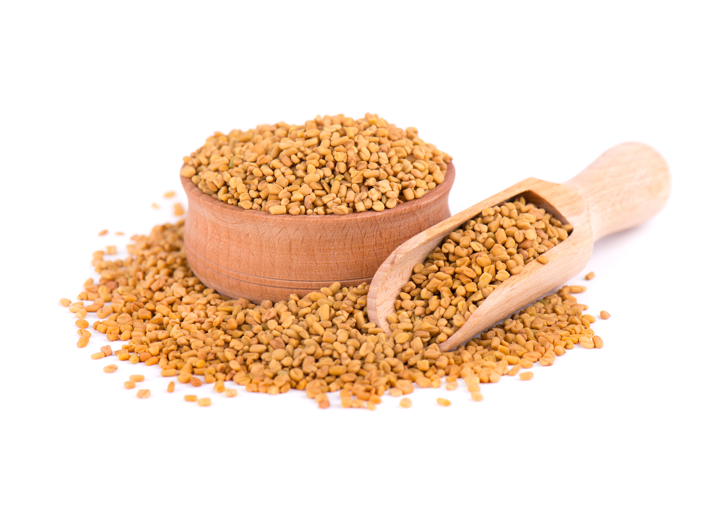 fenugreek supplementation in a diet can be used to adjust testosterone levels 