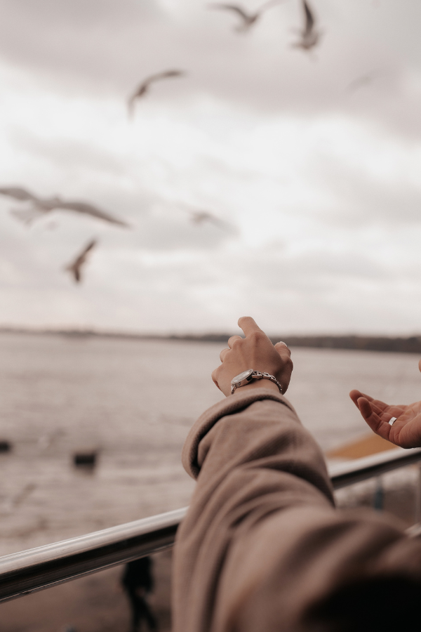 a woman pointing at seagulls while on a boat