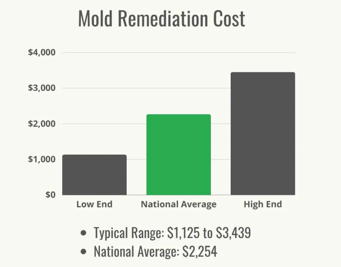 Is Mold A Deal Breaker How To Sell A House With Black Mold Unbiased preview