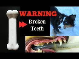 A Warning About Nylabone Power Chew Toys - YouTube