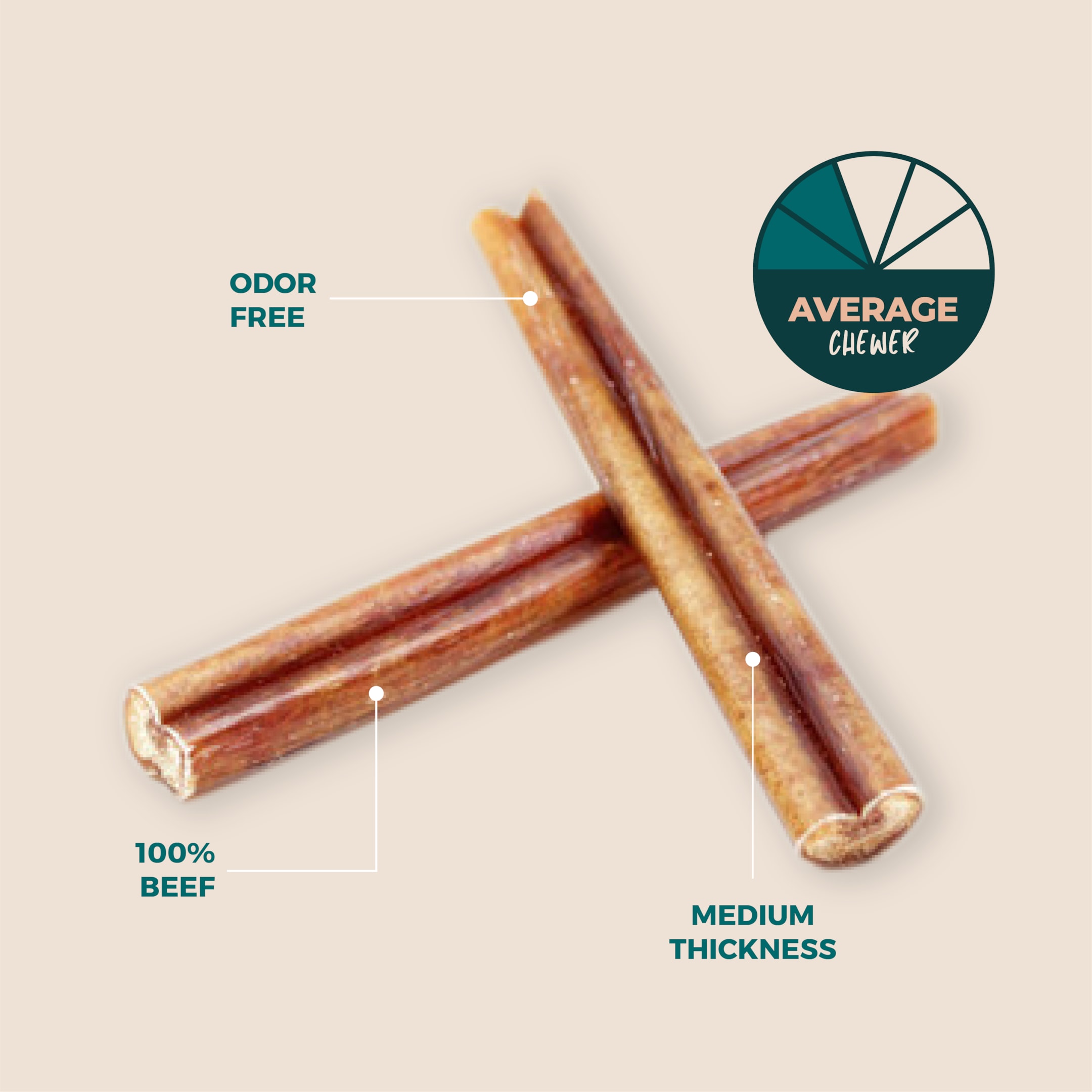 6 Inch Bully Sticks | Odor Free Select Beef Bully Sticks Infographic