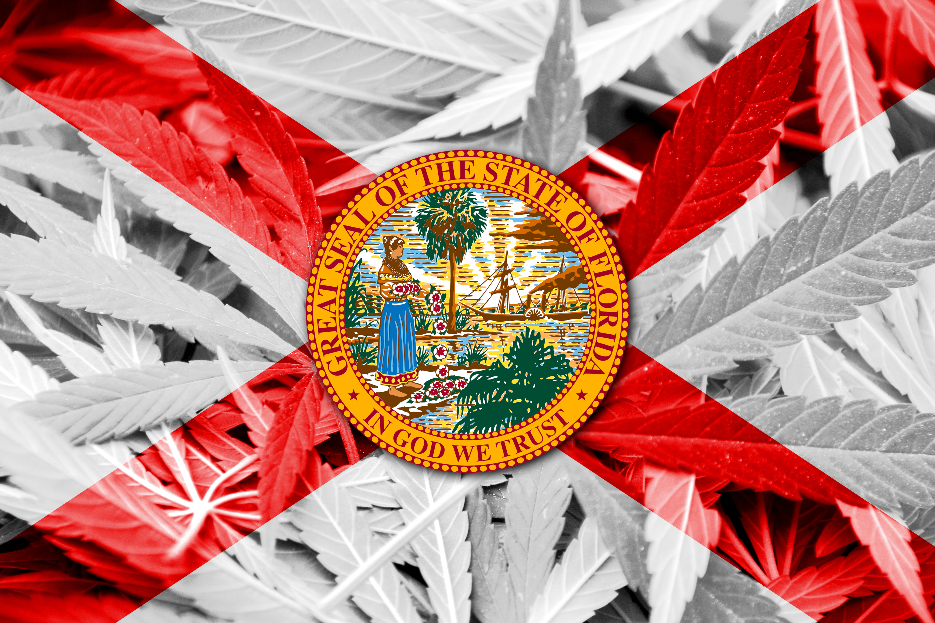 With the Florida Supreme Court allowing this particular ballot measure, the well funded campaign to use marijuana legally would also allow people to possess up to three ounces of dry flower and participate in home cultivation.