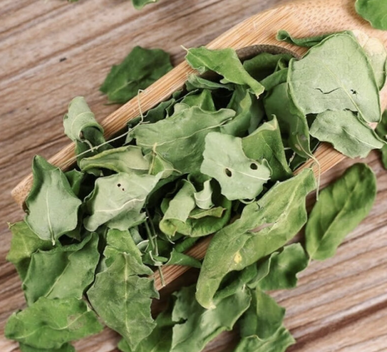 Moringa leaves