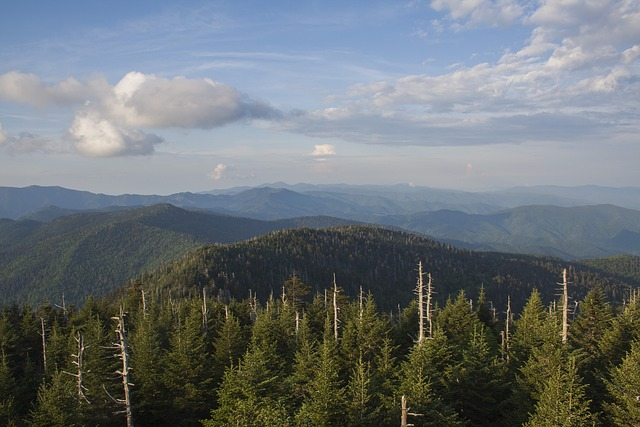 smoky mountains, nature, clingmans dome