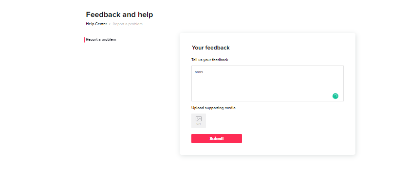 Closeup image showing the space provided to type your issues with the TikTok app